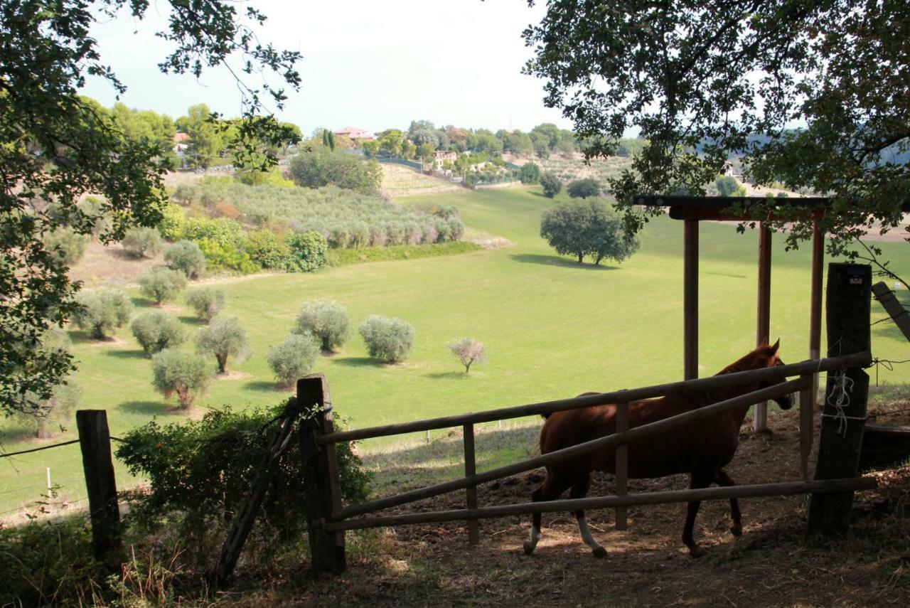 Glamping Poggio Imperiale Marche Hotel Civitanova Marche Luaran gambar
